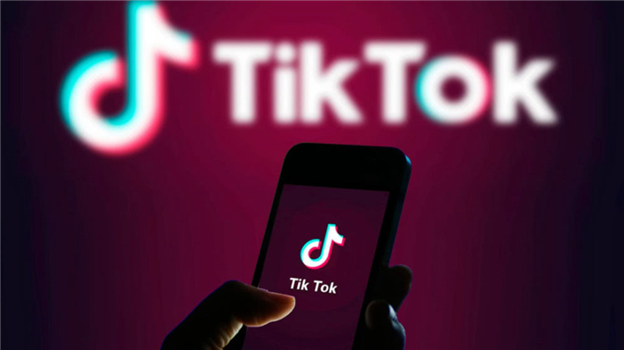 TikTok电商，只等一个“罗永浩”？