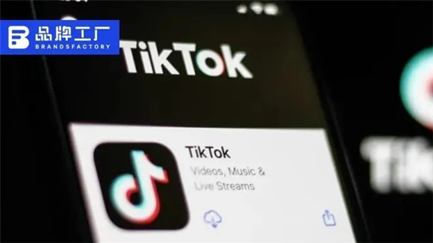 TikTok电商加速